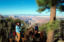 USA-Arizona-Geronimo Trail to the Grand Canyon